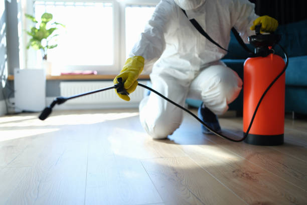 Reliable Blood Cleanup contractor in Nuevo, CA by Trauma Clean Pros